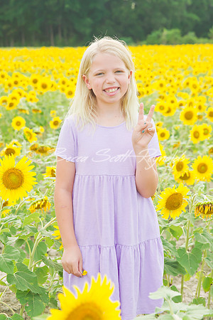 williams sunflowers - 16