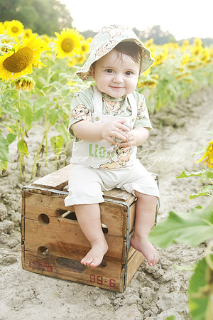 jani sunflowers - 13