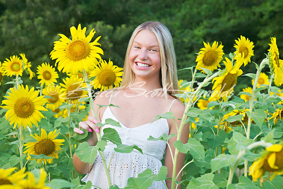 peters sunflowers - 16