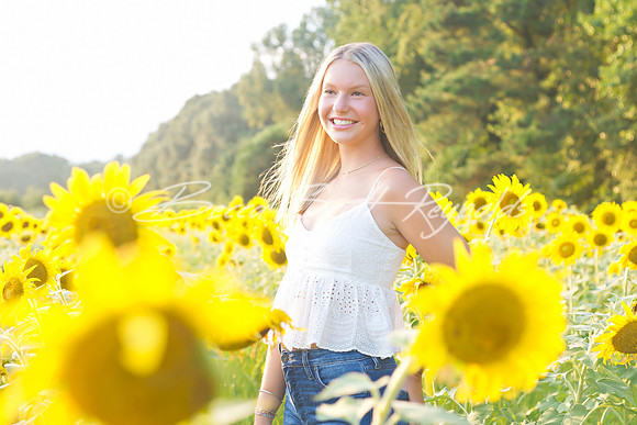 peters sunflowers - 01