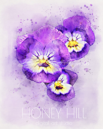 Violet February Birth Month Flower