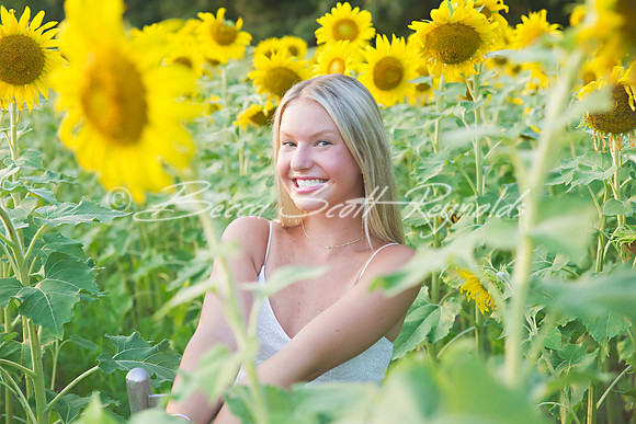 peters sunflowers - 10