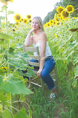 peters sunflowers - 09