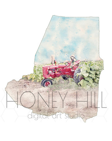 Farmall in Tobacco Field
