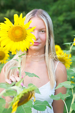 peters sunflowers - 14