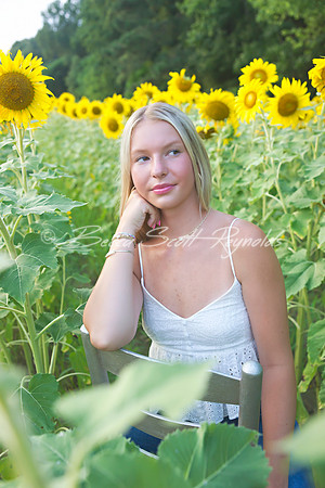 peters sunflowers - 08
