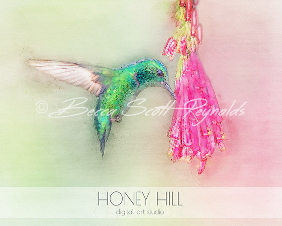 Hummingbird