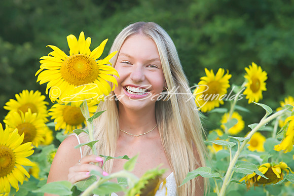 peters sunflowers - 12