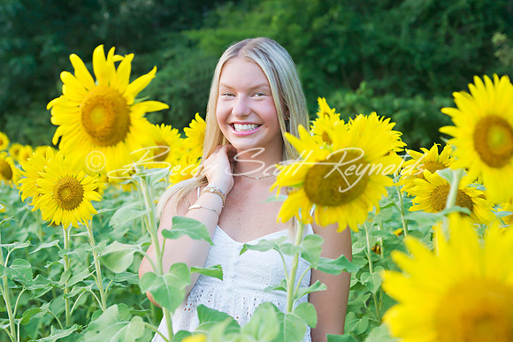peters sunflowers - 17
