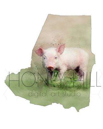 Piglet