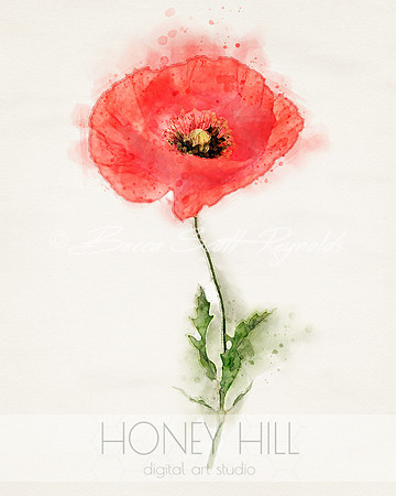 Poppy August Birth Month Flower