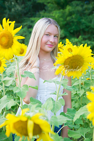 peters sunflowers - 18