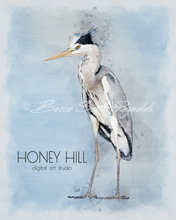 Heron