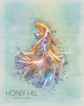 Beta Fish