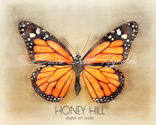 Monarch