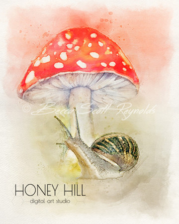 Shroom Snail