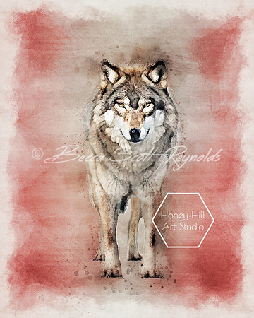 Wolf
