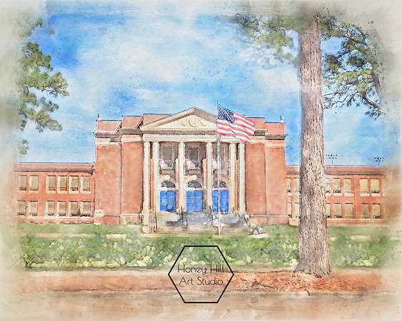 Goldsboro HS (with hedge)