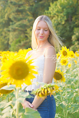 peters sunflowers - 03