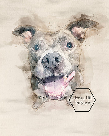 Pet Portraits by Honey Hill Art Studio