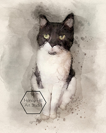 Pet Portraits by Honey Hill Art Studio