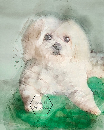 Pet Portraits by Honey Hill Art Studio