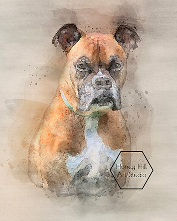Pet Portraits by Honey Hill Art Studio