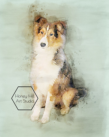 Pet Portraits by Honey Hill Art Studio
