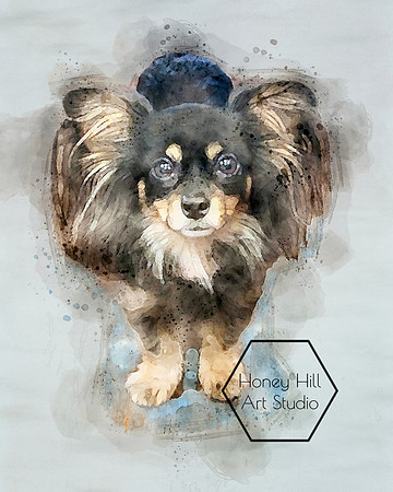 Pet Portraits by Honey Hill Art Studio