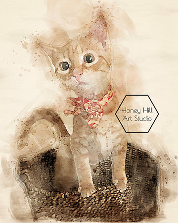 Pet Portraits by Honey Hill Art Studio