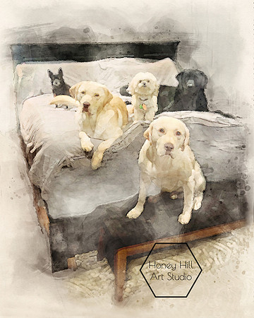 Pet Portraits by Honey Hill Art Studio