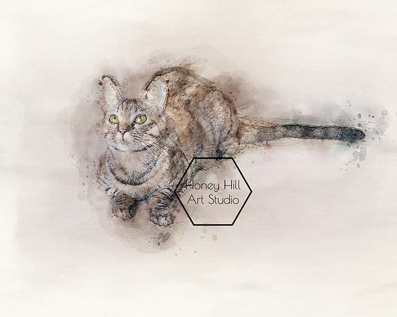 Pet Portraits by Honey Hill Art Studio