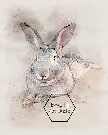 Pet Portraits by Honey Hill Art Studio