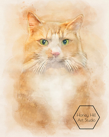 Pet Portraits by Honey Hill Art Studio