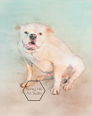 Pet Portraits by Honey Hill Art Studio