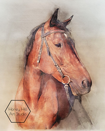 Pet Portraits by Honey Hill Art Studio