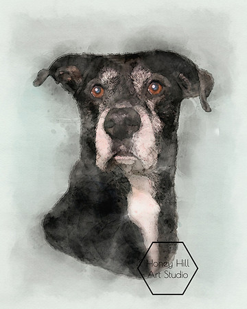 jessica rothwell bodhi ART