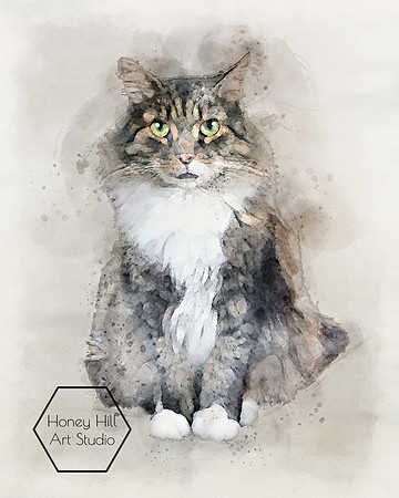 Pet Portraits by Honey Hill Art Studio