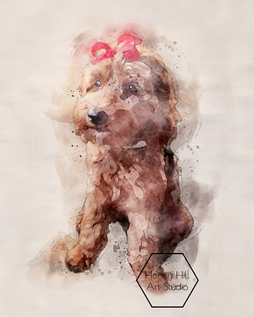 Pet Portraits by Honey Hill Art Studio