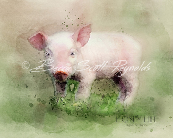 Piglet