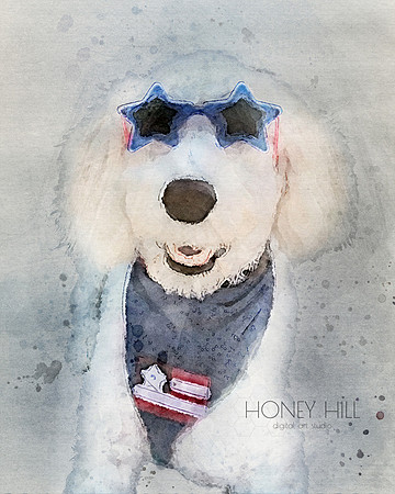 Pet portraits