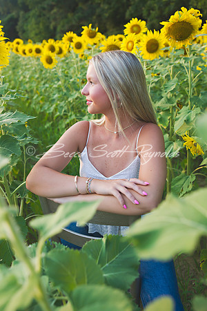 peters sunflowers - 07