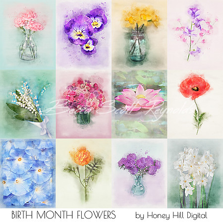 Birth Month Flowers-Note Card 12 Pack