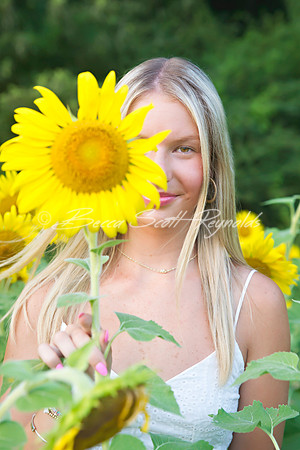 peters sunflowers - 15