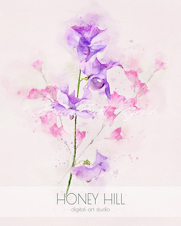 Sweet Peas April Birth Month Flower