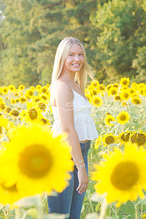 peters sunflowers - 06