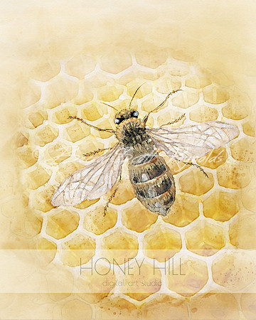 Honeybee