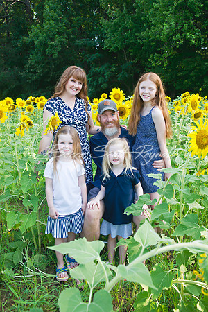 fein sunflowers - 01