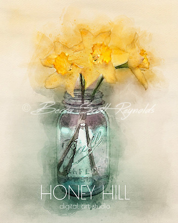 Daffodil March Birth Month Flower