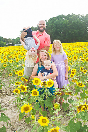 williams sunflowers - 24
